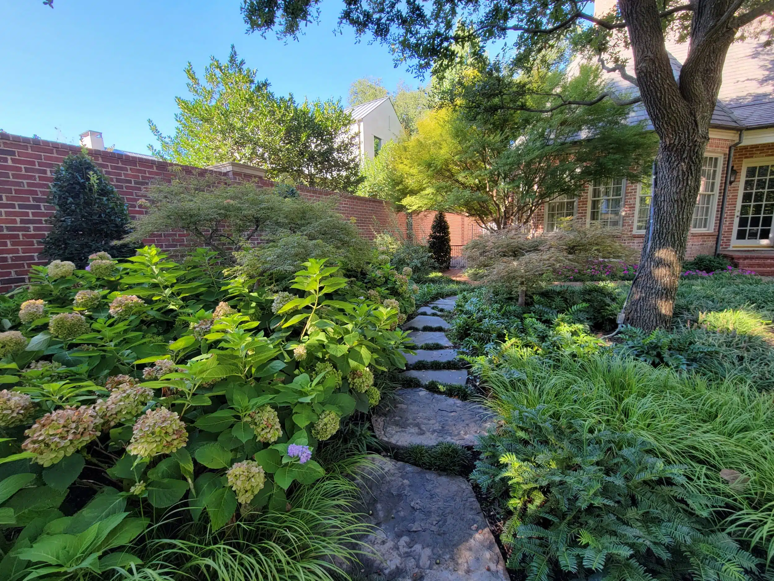 Landscape Design Arlington TX
